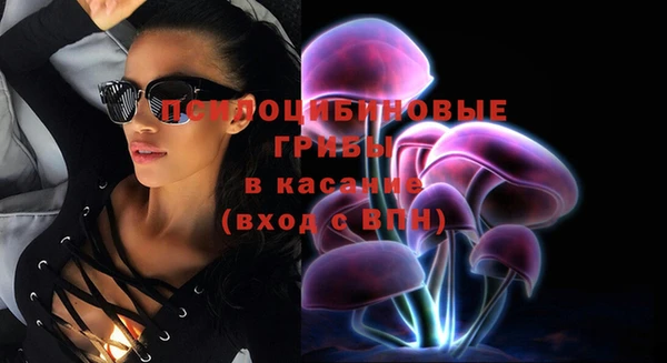 mdma Болотное