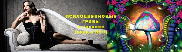 mdma Болотное