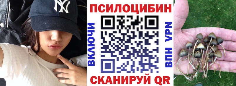 как найти закладки  дарк нет наркотические препараты  Галлюциногенные грибы мицелий  Кохма 
